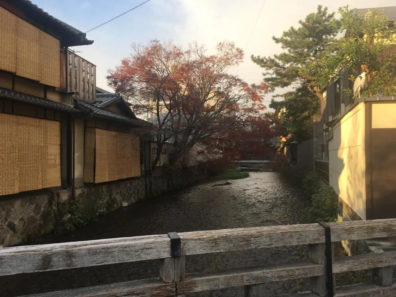 ***  Kyoto Gion U-Bell Hotel Japan